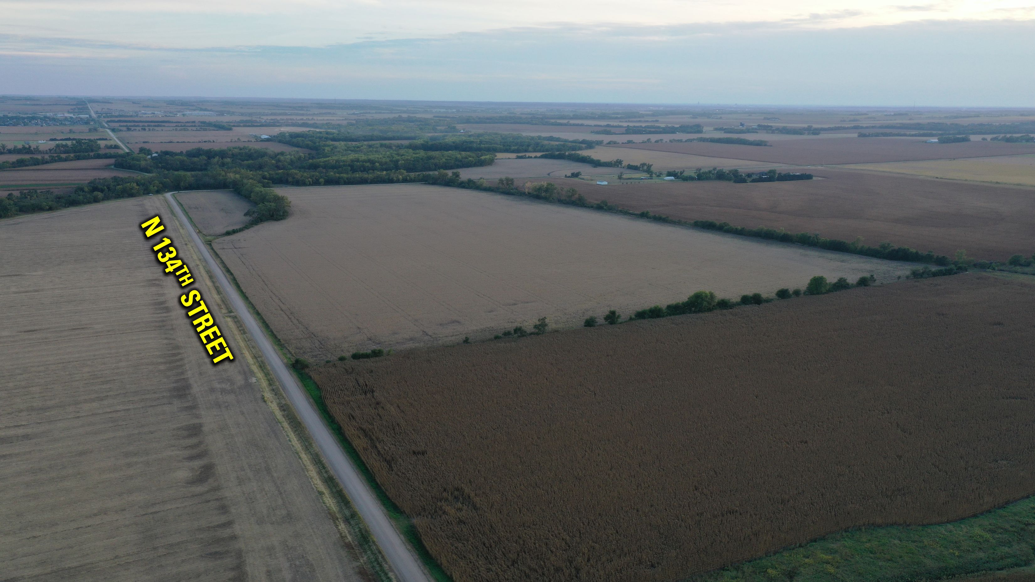 Listing Photo: Burg Farm Looking SW